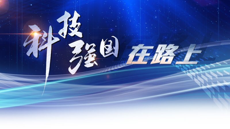 数据湖存储计算分离架构：构建高效大数据处理新范式