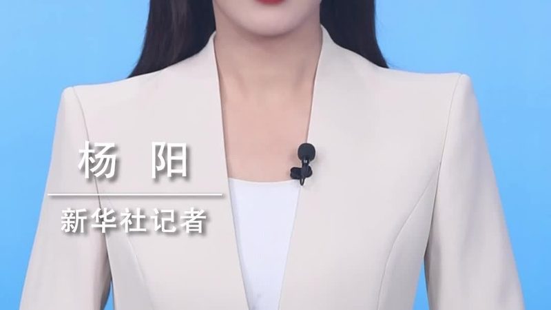 智能化改造软件定制开发的十大品牌解析