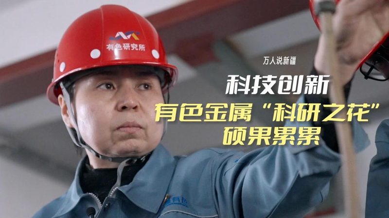数据湖与数据仓库：两种数据存储解决方案的对比解析